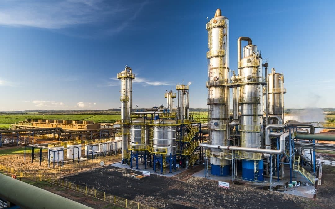 Sugarcane mill in Brazil, with stainless distillation columns and pipework beside green cane fields