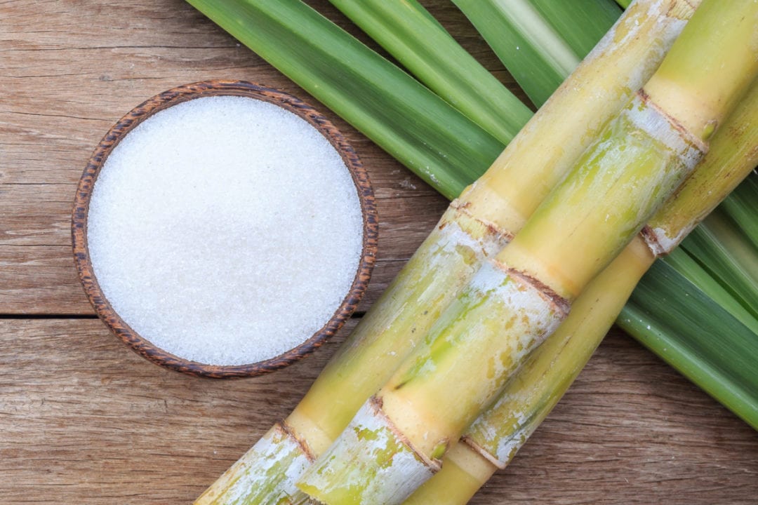 Bowl of refined white sugar beside fresh sugarcane stalks
